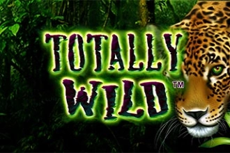 09495 totally wild